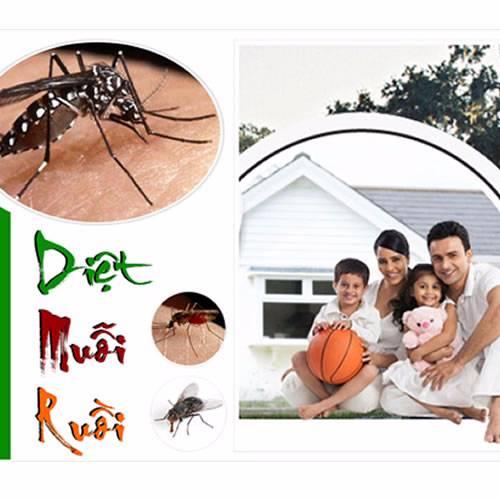 Cửa lưới chống muỗi – Diệt muỗi và phòng bệnh sốt xuất huyết