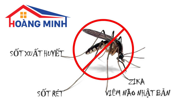 Muỗi đốt gây ra nhiều bệnh nguy hiểm