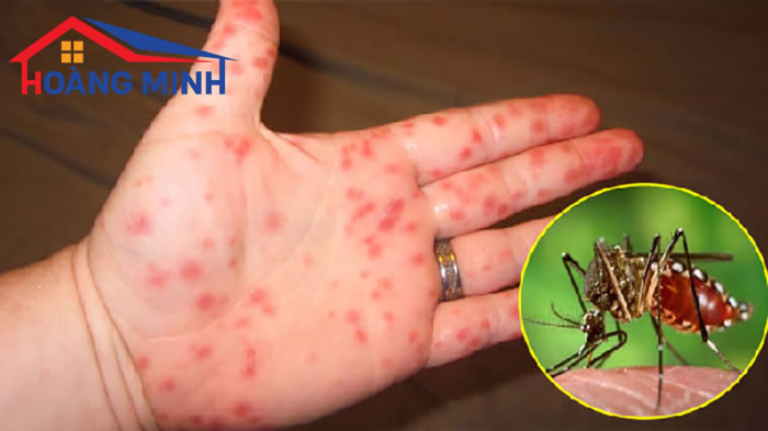 Muỗi là động vật trung gian truyền nhiễm 
nhiều bệnh nguy hiểm