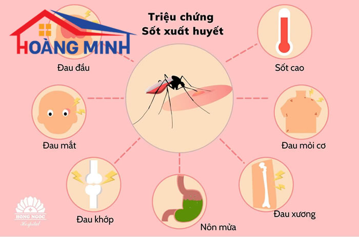 Những triệu chứng thường gặp của bệnh sốt xuất 
huyết