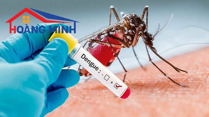Sốt xuất huyết là bệnh do muỗi Anophel là trung 
gian truyền bệnh, có thể gây nguy hiểm đến tính mạng con người