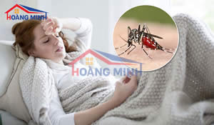 Tại sao nên lắp đặt cửa lưới chống muỗi?