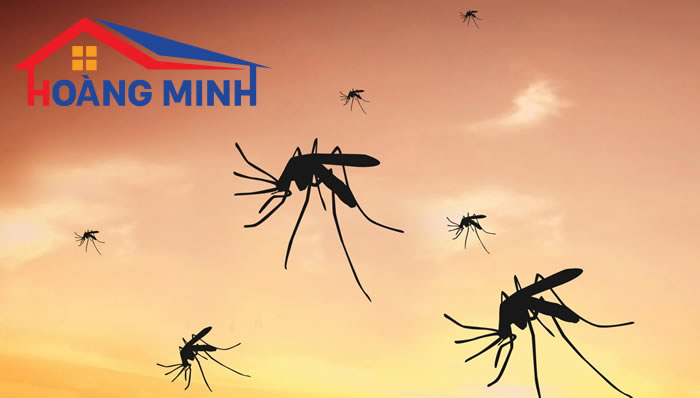 Giao mùa là thời điểm thích hợp để muỗi 
và các loại côn trùng sinh sôi