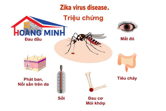 Sốt do virus zika