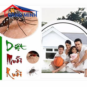 Cửa lưới chống muỗi - Diệt muỗi và phòng bệnh sốt xuất huyết