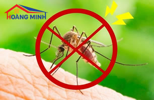 Các biện pháp loại bỏ muỗi đơn giản