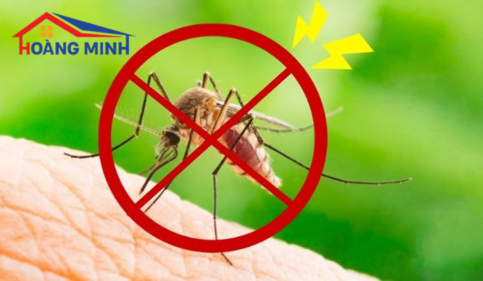 Phòng chống các bệnh liên quan đến muỗi 
luôn là vấn đề được nhiều người quan tâm hiện nay