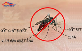 Muỗi có tác hại như thế nào đối với sức khỏe con người?