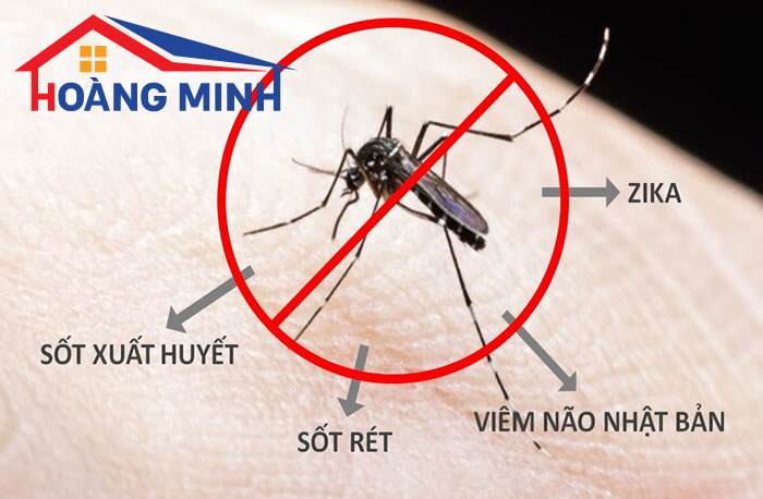 Muỗi là động vật truyền nhiễm nhiều bệnh nguy hiểm 
cho con người