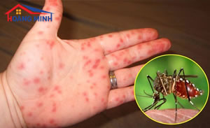 Cách phòng ngừa bệnh sốt xuất huyết trong gia đình