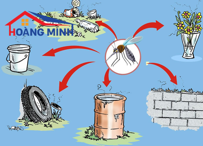 Vệ sinh sạch sẽ mỗi trường xung quanh là 
cách phòng chống muỗi hiệu quả