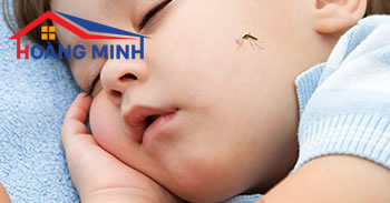 Tại sao nói chống muỗi cho bé hiệu quả với cửa lưới chống muỗi Hoàng Minh?