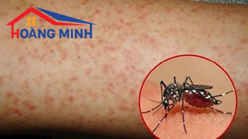 Sự nguy hiểm của bệnh sốt xuất huyết trong thời điểm giao mùa