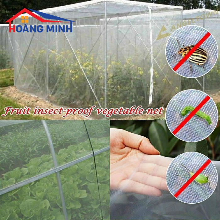 Lưới chống côn trùng cho vườn rau sạch