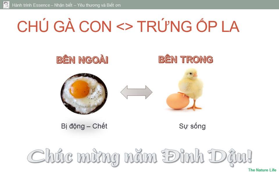 TRUNG-OP-LA-va-CHU-GA-CON-0